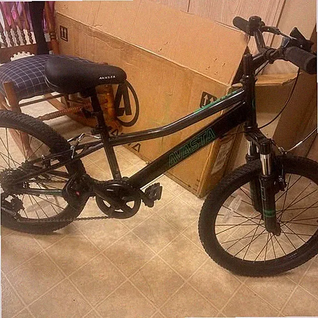 Avasta mountain bike retail 269.00