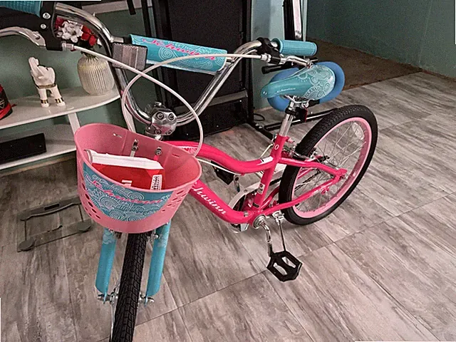 Bicicleta