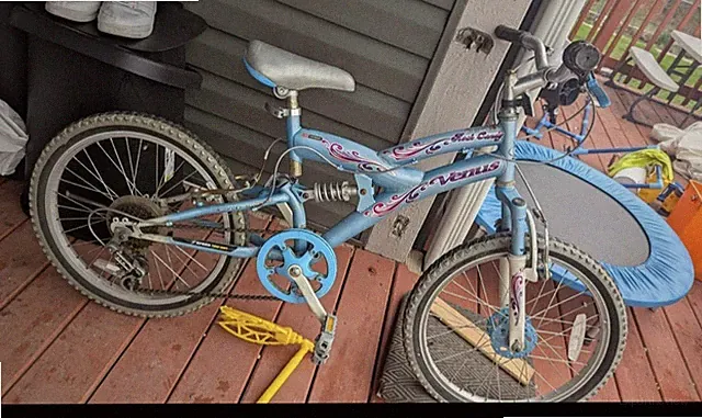 bicicleta Venus